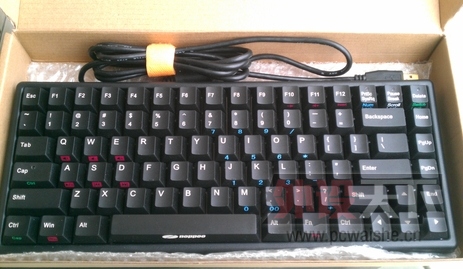 noppoo84 1.jpg