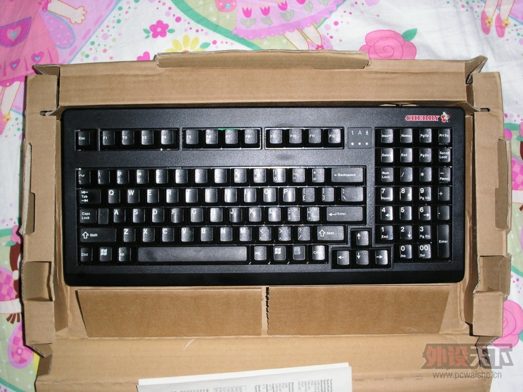 PICT0006.JPG