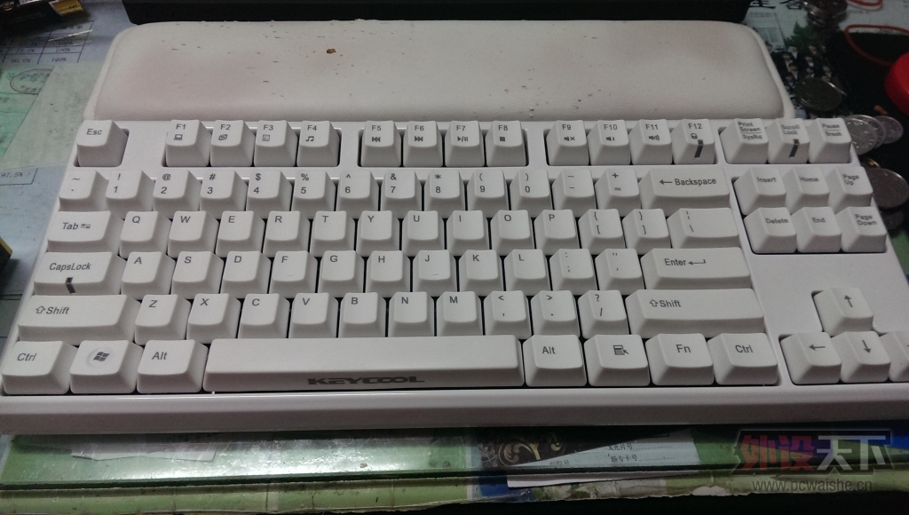 IMAG0331.jpg