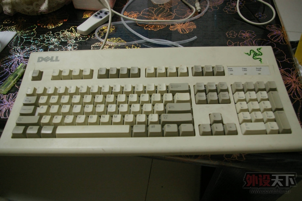 imgp0013.jpg