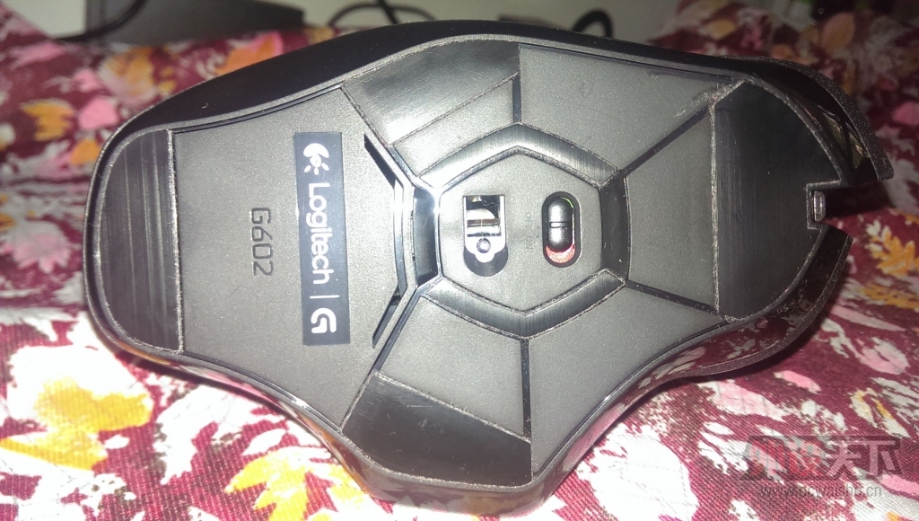 IMAG0382.jpg