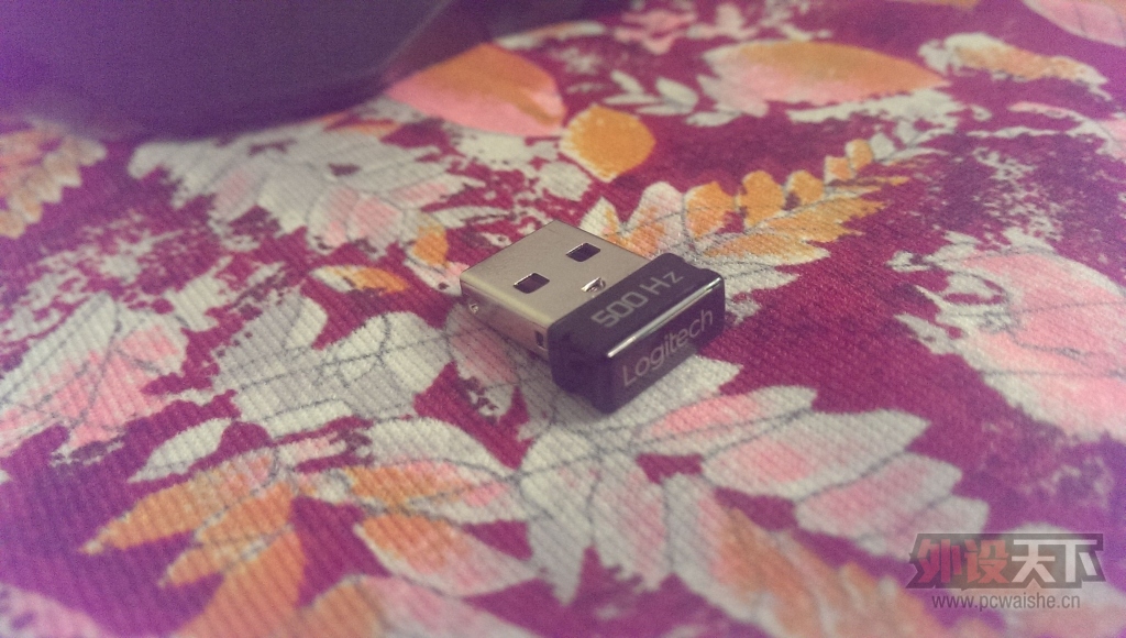 IMAG0385.jpg