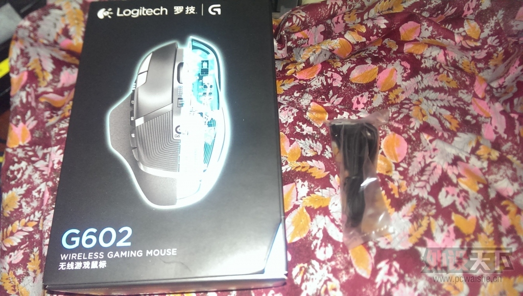 IMAG0389.jpg
