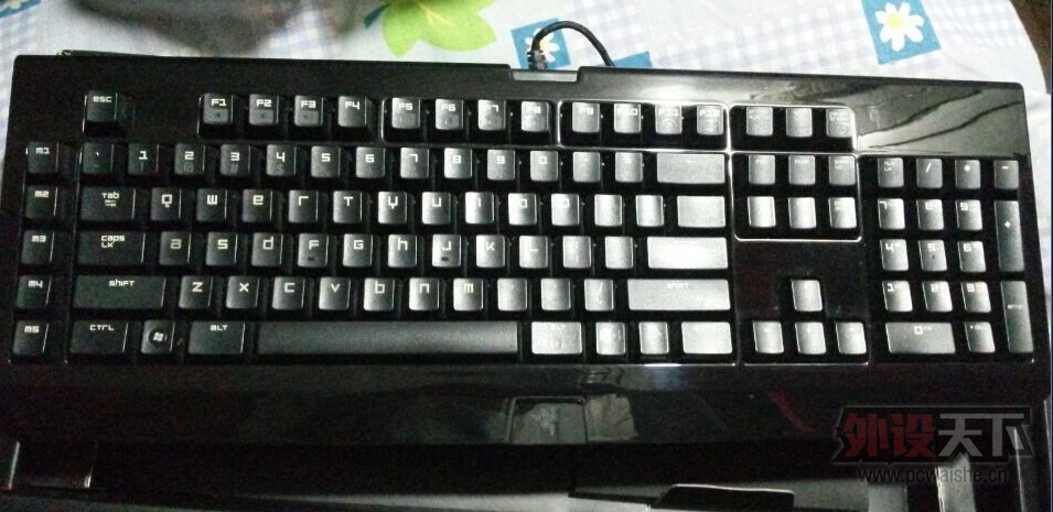 �ѳ�����������