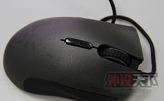 2302565_dw5.jpg