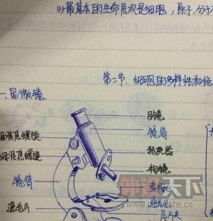 ѧ�Եıʼǣ�������