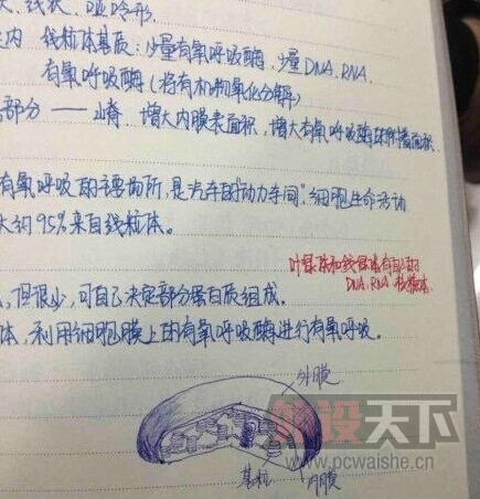 ѧ�Եıʼǣ�������