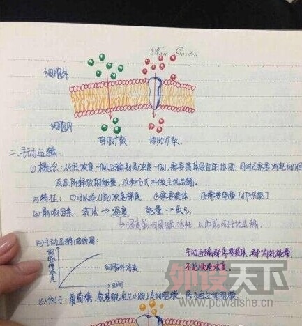 ѧ�Եıʼǣ�������