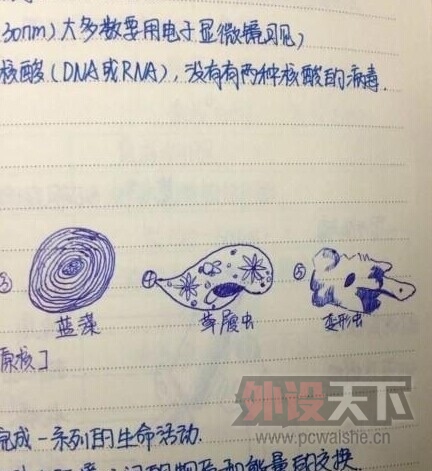 ѧ�Եıʼǣ�������