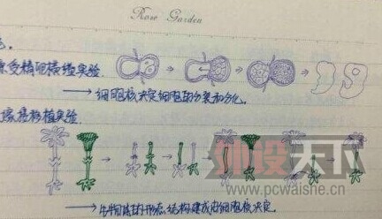 ѧ�Եıʼǣ�������