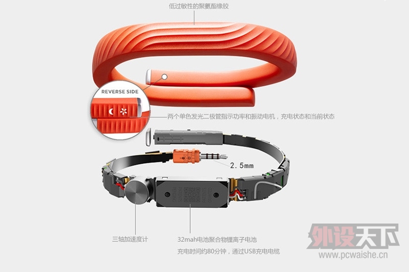 Jawbone UP24