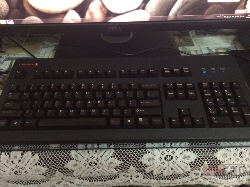 [�人]ӣ��3494 �����ɫ 500��