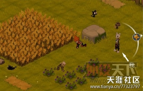 �㲻Ц�������㷢��ֵ��������