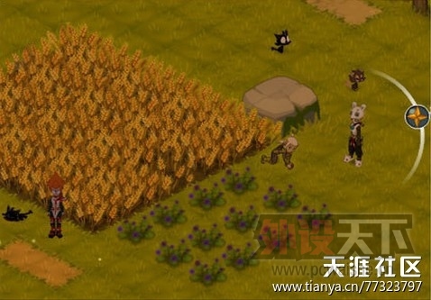 �㲻Ц�������㷢��ֵ��������