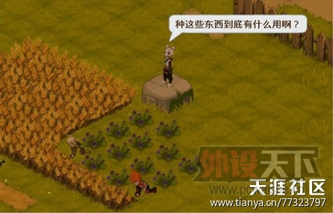 �㲻Ц�������㷢��ֵ��������