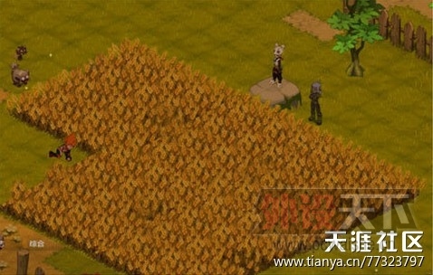 �㲻Ц�������㷢��ֵ��������