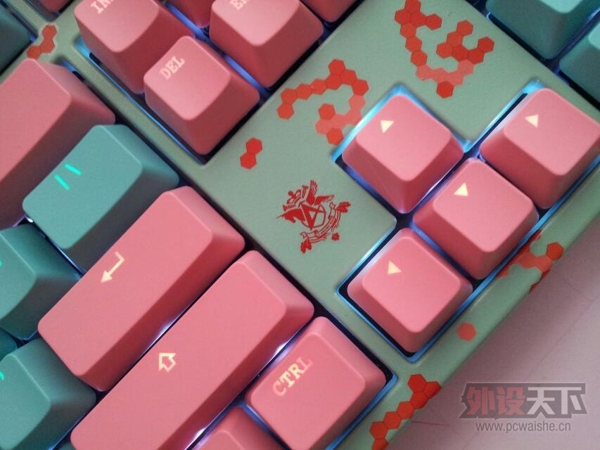 [6P] �Ȼ����ɫ����ֻСѼ��