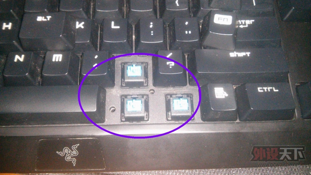 [����] �ڹѸ��������ʬ��