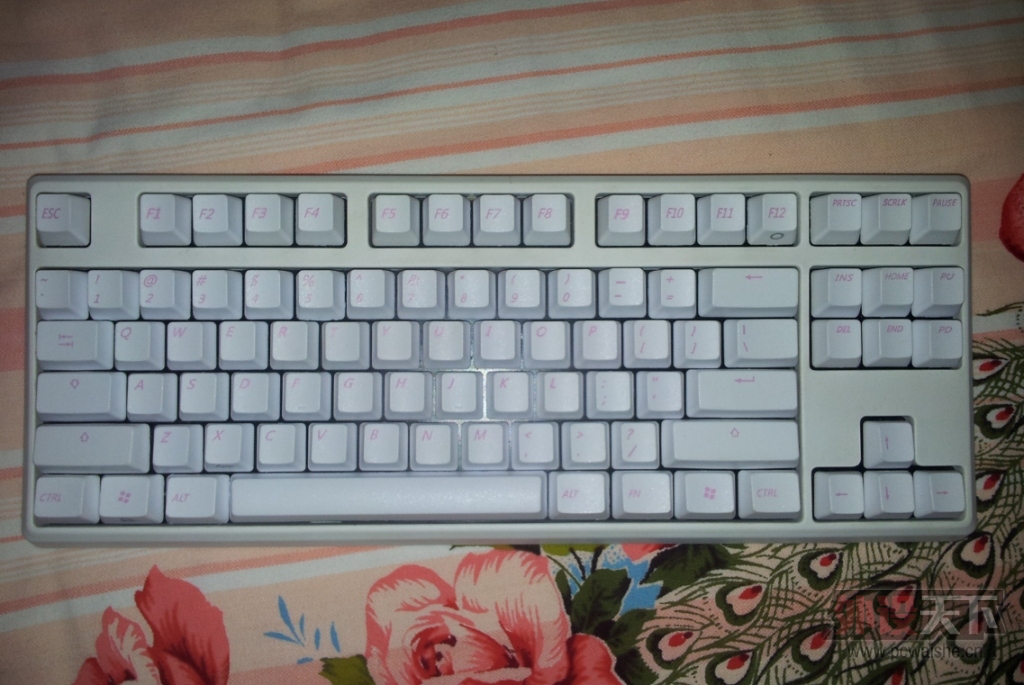 [�ѳ�] �����KC��һ����ɫ���� 87���� EC2 EVO