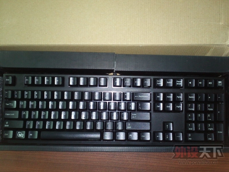 �����ա� Ѽ��