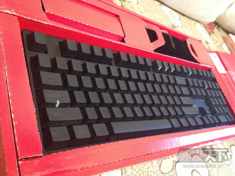 ���˲���Ѽ�� ducky �������� ����
