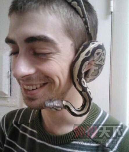 ��Щv587�����裬��϶�û������������