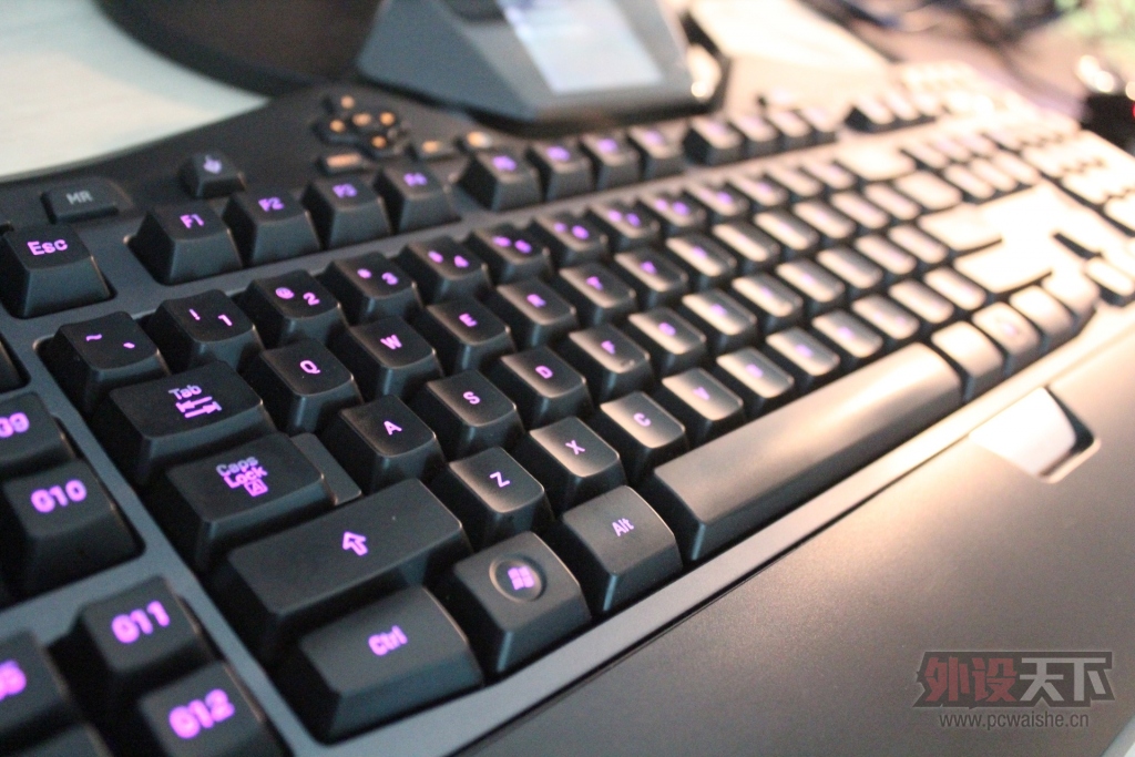 ���㽭�������޼�G19  ��ɫ���� 390Ԫ����   -------���ѳ��ˡ�
