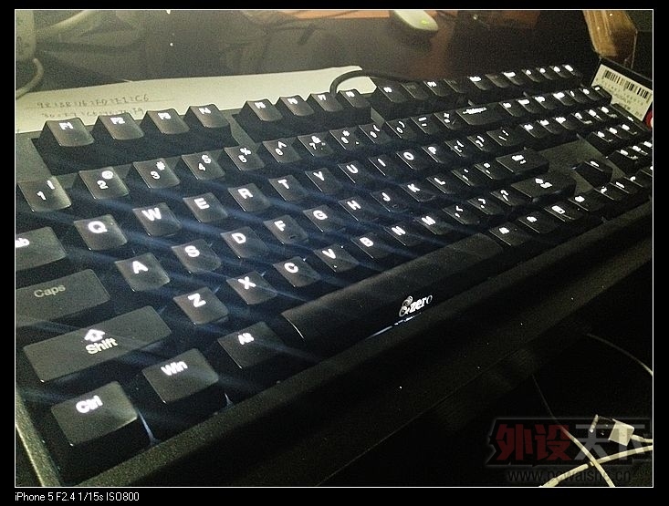 nEO_IMG_IMG_4903.jpg