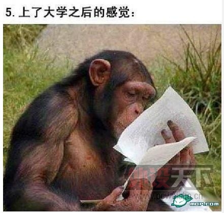 ÿ��ˮ��������