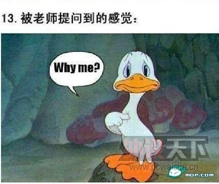 ÿ��ˮ��������