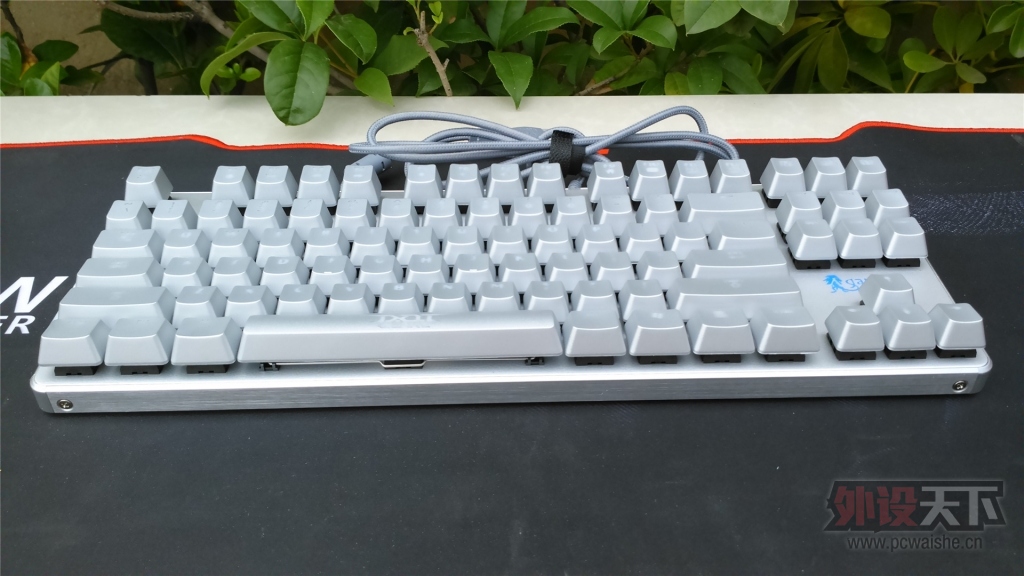 ֻΪƸ֮87