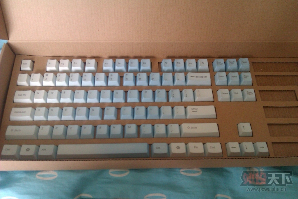 IMAG0077.jpg