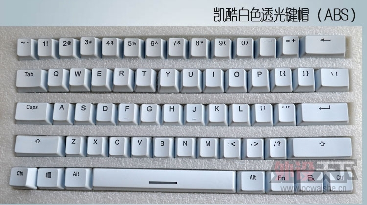 T2Jg6lXp4XXXXXXXXX-16731204.jpg