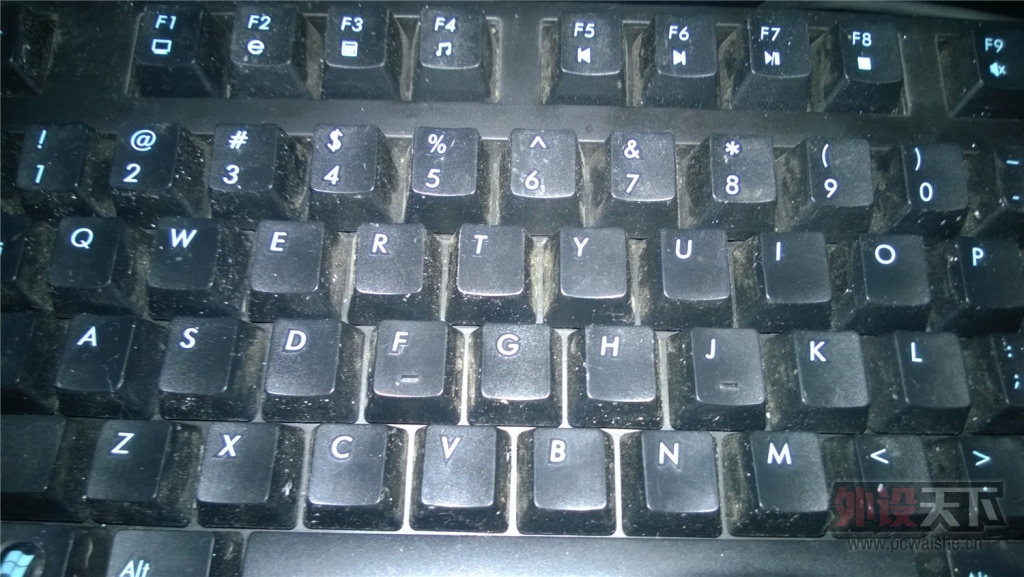 WP_20140729_001.jpg