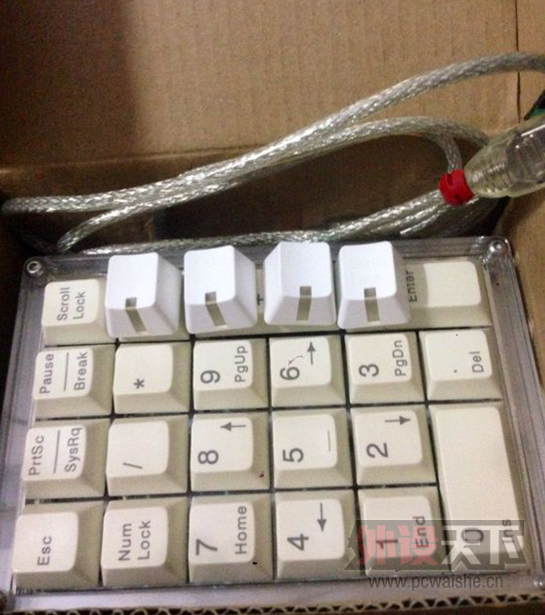 ���㶫��ek rgb��GNK RGB�����λҰ��ϣ�������͸��,�Ϻ��� ��ֽ