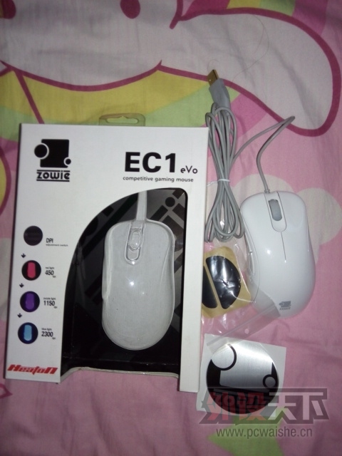 ��������(�ݳ�)����EC1EVO�׾���95~99��!�򻥻�����13<����!!