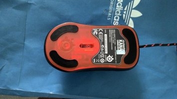 ���ã�˦���ˣ�