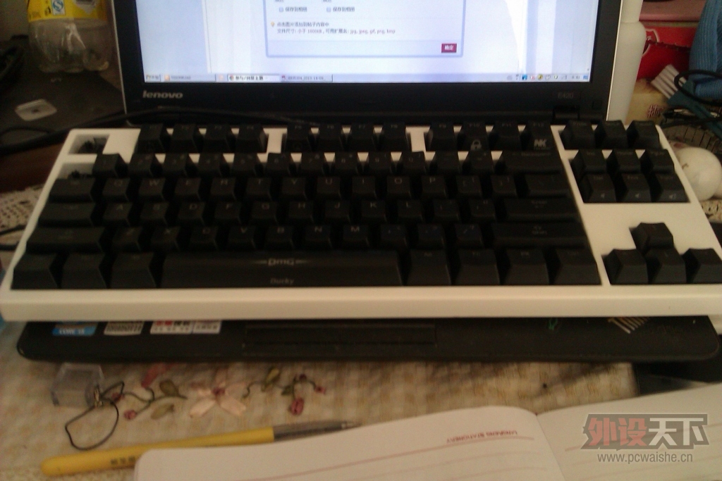 IMAG0126.jpg
