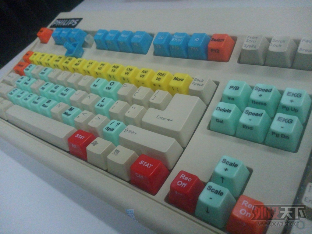 ˸ñKṬʶѹ