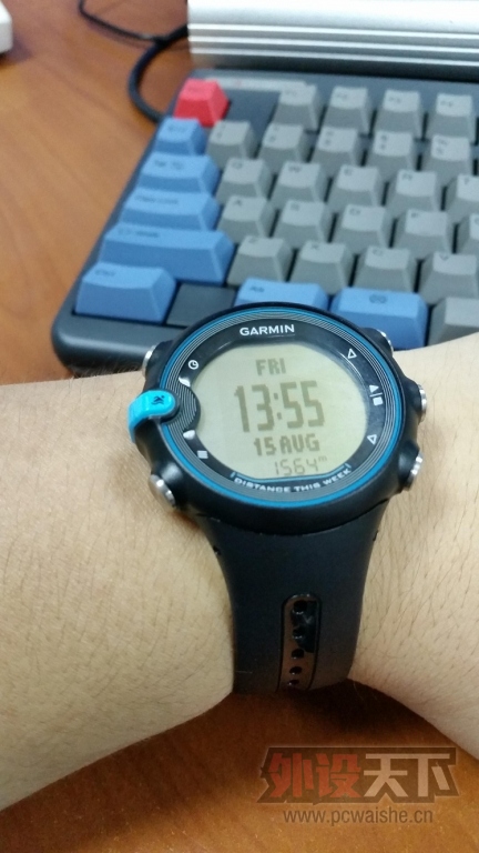 ˿Garmin swimӾֱ