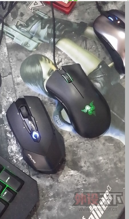 �����ա�������