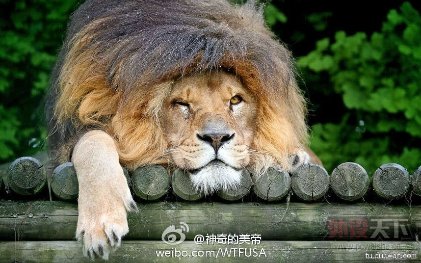 �������·������