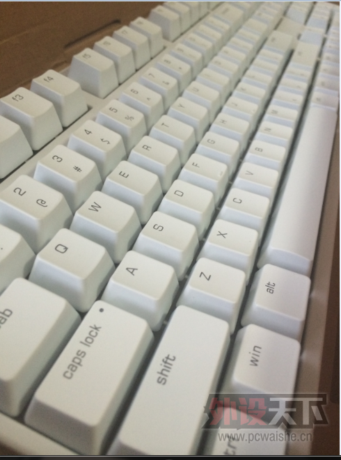duck96Ѽfilco87ײ 