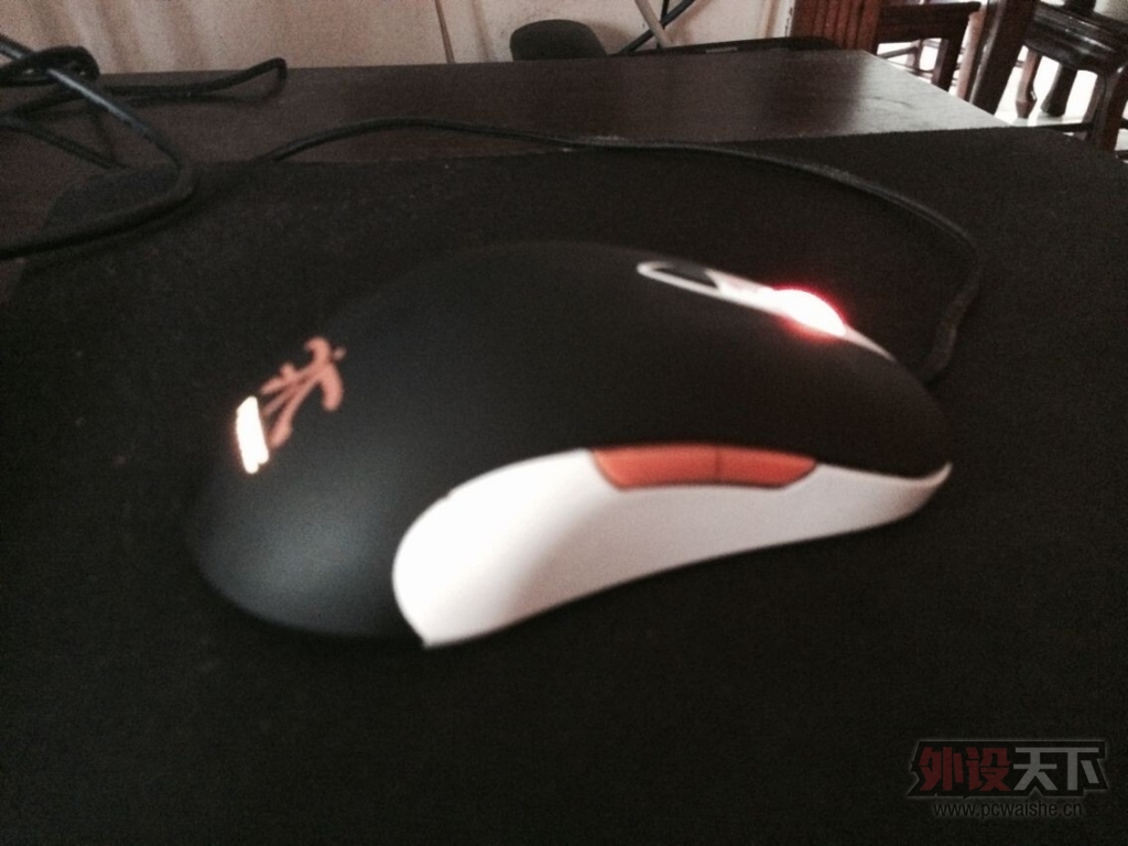 ���㶫�����ʦfnatic�����Ե���
