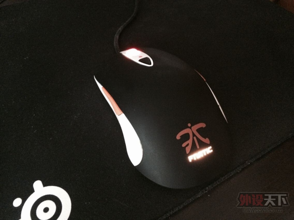 ���㶫�����ʦfnatic�����Ե���