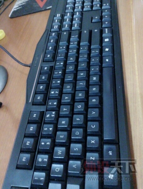 �����ݹ㶫��Cherry 3800 2.0 ��ɫ���� 8��