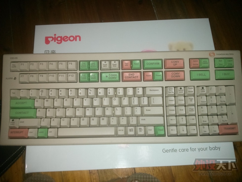 �����ɭ·͸D3D-KB����