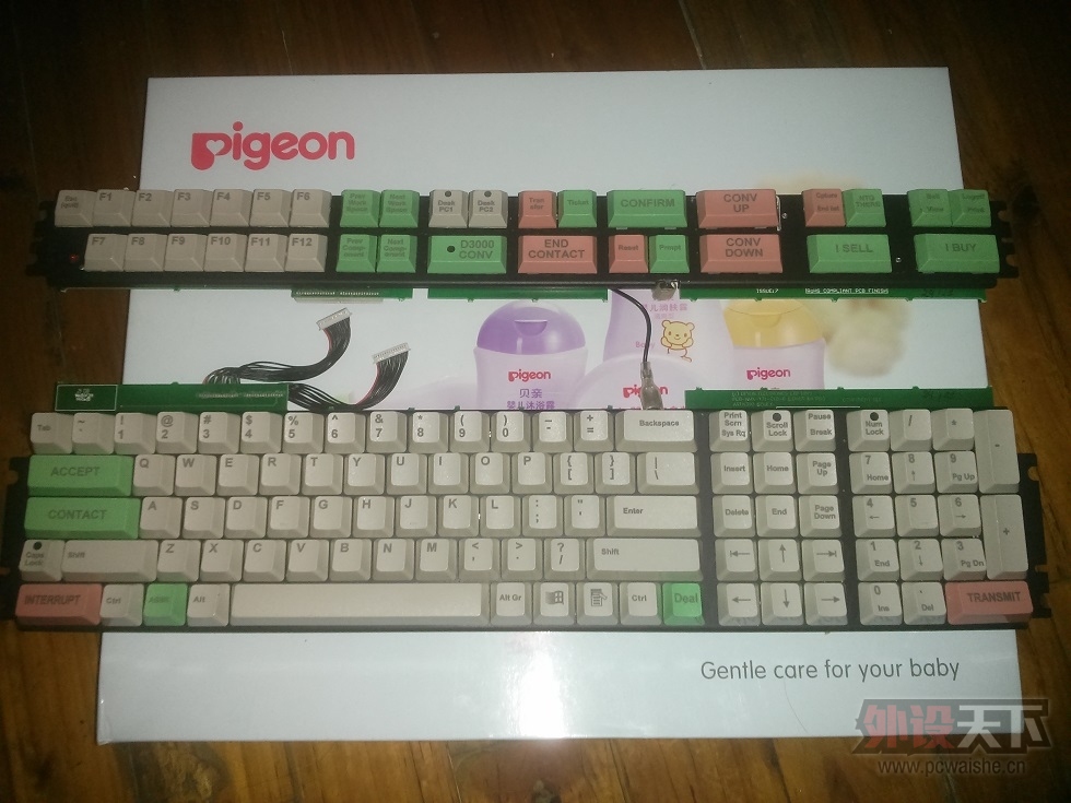 �����ɭ·͸D3D-KB����