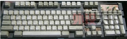 ��׷�������PLUM104���������