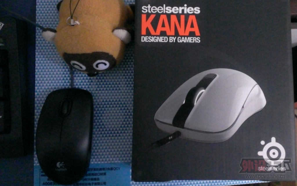 X������˸�KANAȻ�󱯾���